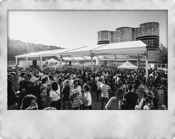Nuits Sonores
